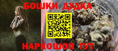 индика Новозыбков