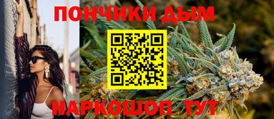 индика Новозыбков