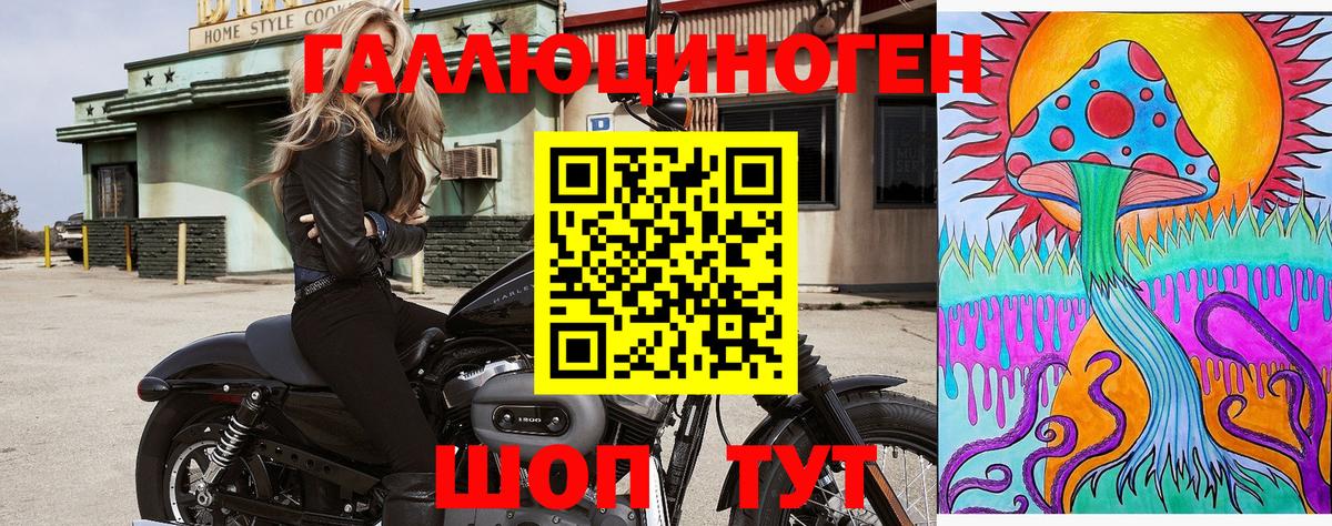 Галлюциногенные грибы Cubensis Петрозаводск