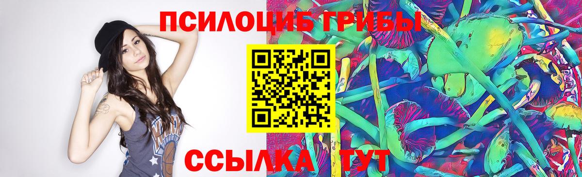 Псилоцибиновые грибы Psilocybe  как найти наркотики  Петрозаводск  Псилоцибиновые грибы прущие грибы  Вход с VPN 